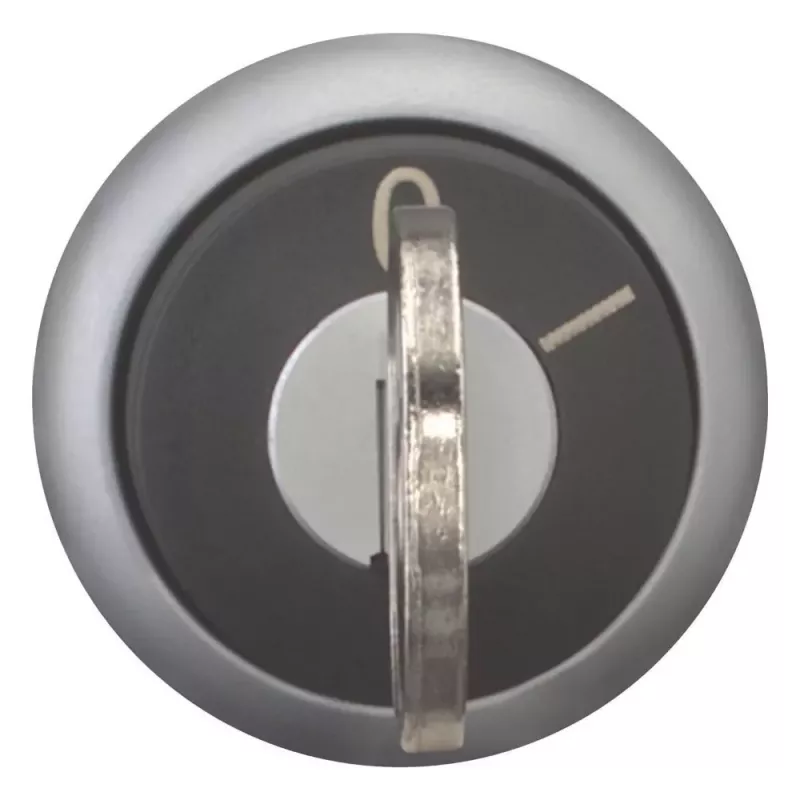 Eaton M22-WRS-MS10 selettore a chiave, 2 posizioni, nero/titanio, 22,5 mm 111775