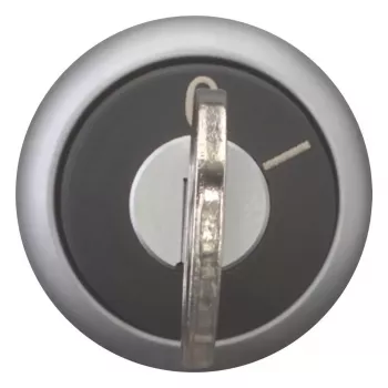 Eaton M22-WRS-MS2 selettore a chiave, 2 posizioni, a scatto, ghiera frontale titanio, chiave MS2, montaggio 22,5 mm 111778
