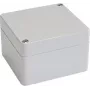 Bopla EUROMAS T 206 63206000 custodia universale, 65 x 50 x 37 mm, ABS, grigio chiaro