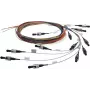 Telegärtner L00819A0067 cavo di collegamento in fibra ottica ST multimodale