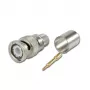 Telegärtner Connettore maschio BNC a crimpare per RG214/U e RG393/U, 50 Ohm, 1 pz. J01000A0060