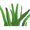 EUROPALMS pianta artificiale di aloe vera in vaso nero, 63cm 82809112