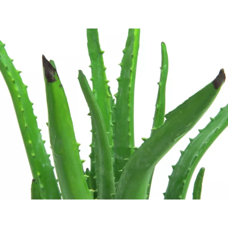 EUROPALMS pianta artificiale di aloe vera in vaso nero, 63cm 82809112