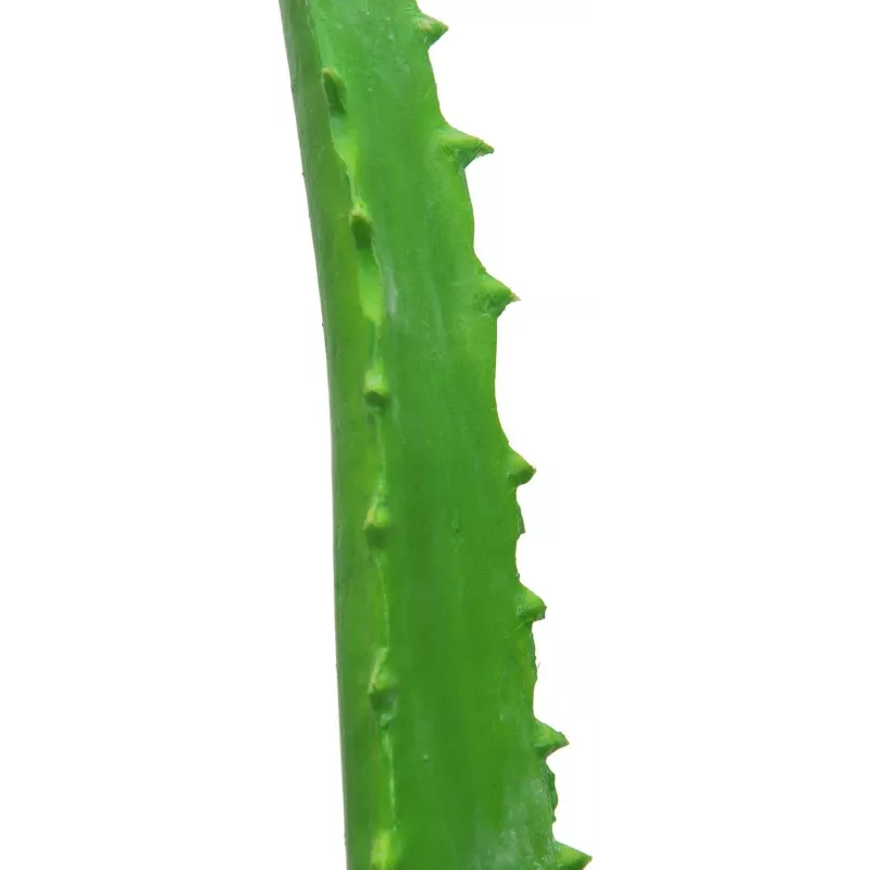 EUROPALMS pianta artificiale di aloe vera in vaso nero, 63cm 82809112