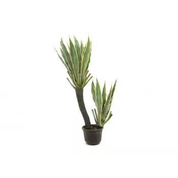 EUROPALMS pianta artificiale cactus orchidea, 160 cm 82809035