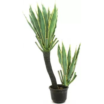 EUROPALMS pianta artificiale cactus orchidea, 160 cm 82809035