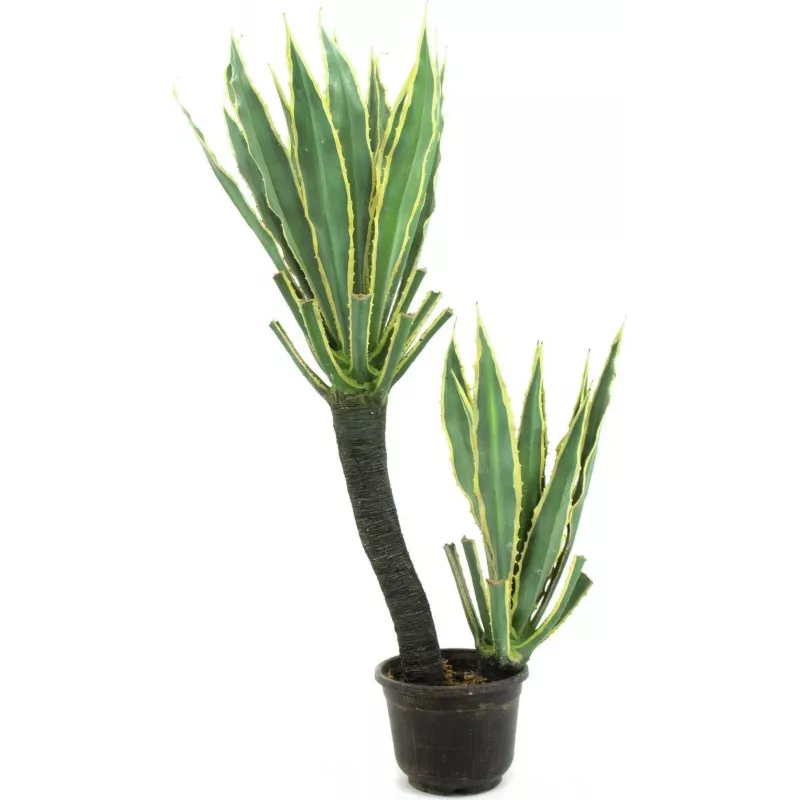 EUROPALMS pianta artificiale cactus orchidea, 160 cm 82809035