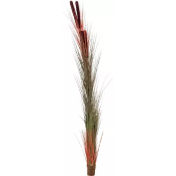 EUROPALMS canna palustre artificiale con spighe, marrone chiaro, 152 cm 82505856