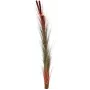 EUROPALMS canna palustre artificiale con spighe, marrone chiaro, 152 cm 82505856