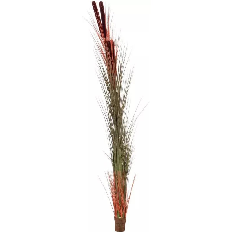 EUROPALMS canna palustre artificiale con spighe, marrone chiaro, 152 cm 82505856