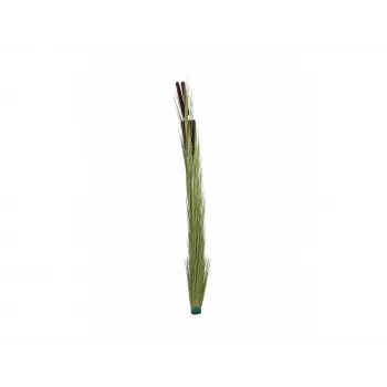 EUROPALMS canna di palude artificiale con spighe, verde chiaro, 152cm 82505855