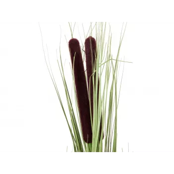 EUROPALMS canna di palude artificiale con spighe, verde chiaro, 152cm 82505855