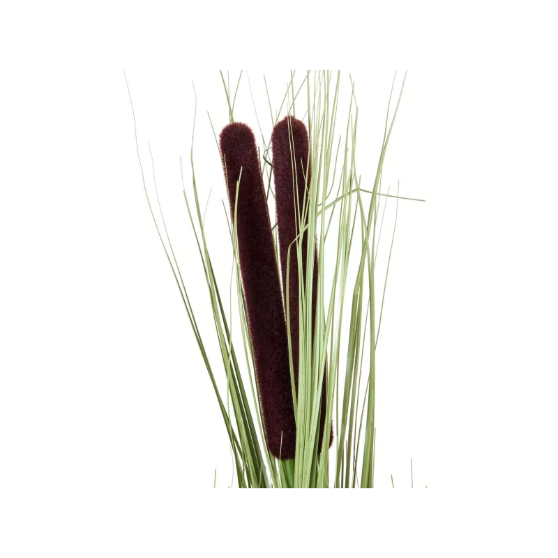 EUROPALMS canna di palude artificiale con spighe, verde chiaro, 152cm 82505855