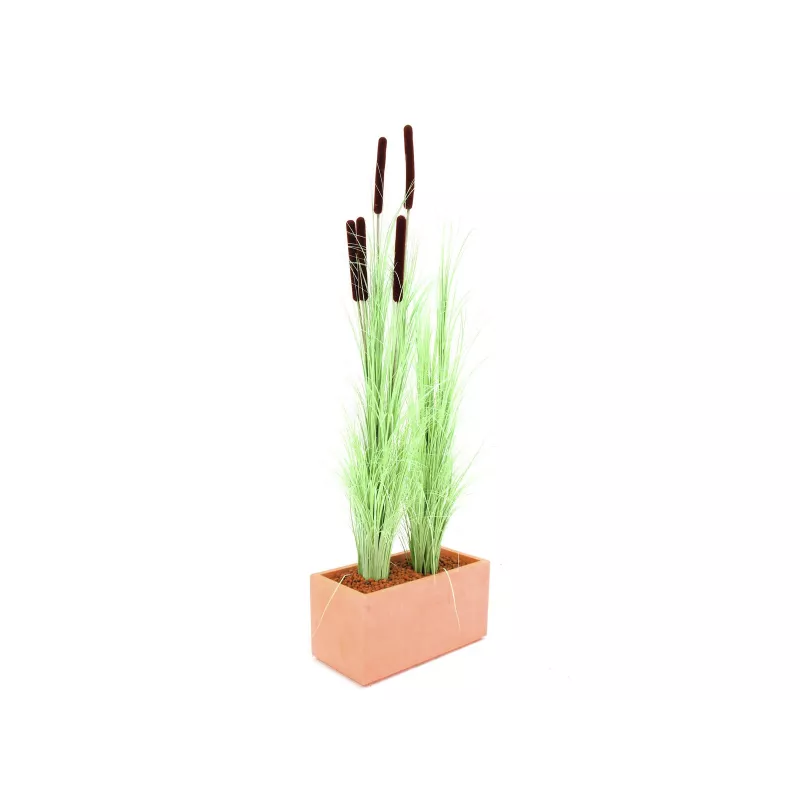 EUROPALMS canna di palude artificiale con spighe, verde chiaro, 152cm 82505855