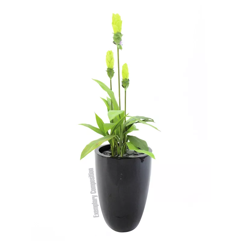 Europalms LEICHTSIN CUP-69 vaso per piante, nero, lucido (83011819)