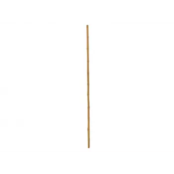 EUROPALMS Canna di bambù, Ø 3 cm, lunghezza 200 cm 83313200