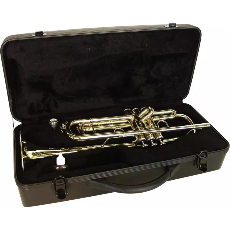 DIMAVERY TP-20 tromba in Si bemolle, laccatura oro 26503150