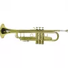 DIMAVERY TP-20 tromba in Si bemolle, laccatura oro 26503150