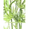 EUROPALMS Cipro erba artificiale, 76 cm, in vaso nero 82600138