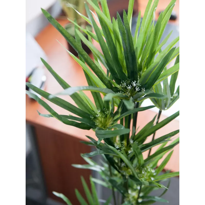 EUROPALMS Cipro erba artificiale, 76 cm, in vaso nero 82600138