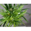 EUROPALMS Cipro erba artificiale, 76 cm, in vaso nero 82600138