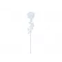 EUROPALMS Crystal Rose fiore artificiale, trasparente, 81 cm, confezione da 12 pezzi vantaggiosa 82600210