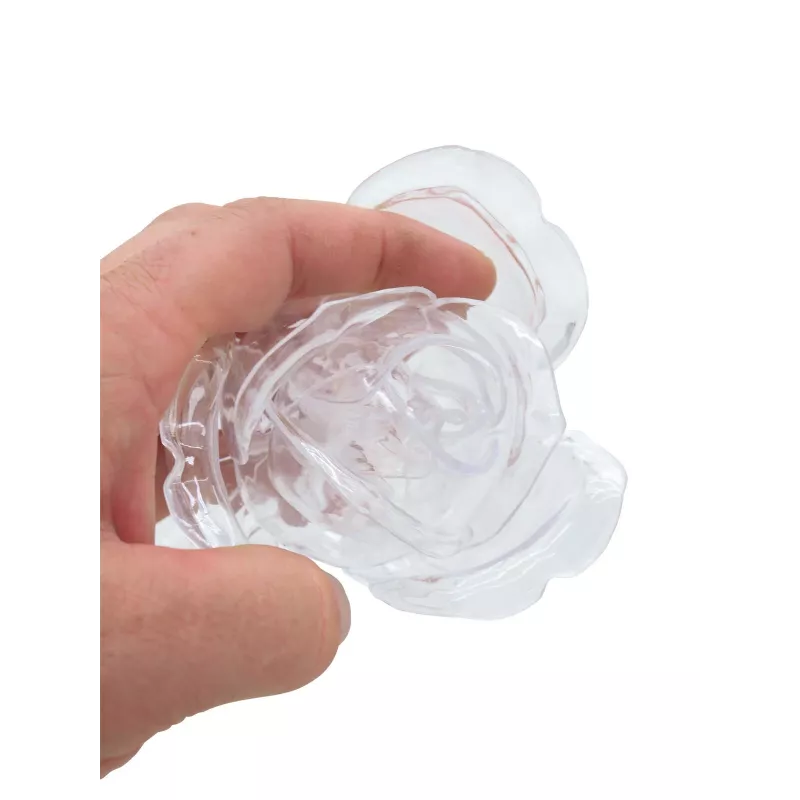 EUROPALMS Crystal Rose fiore artificiale, trasparente, 81 cm, confezione da 12 pezzi vantaggiosa 82600210