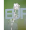 EUROPALMS Crystal Rose fiore artificiale, trasparente, 81 cm, confezione da 12 pezzi vantaggiosa 82600210