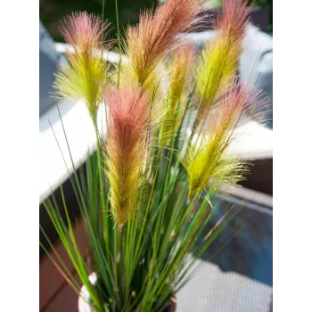 EUROPALMS erba piuma, artificiale, rosa, 90 cm 82505865