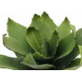 EUROPALMS pianta artificiale agave, EVA, verde, 35 cm 82530576