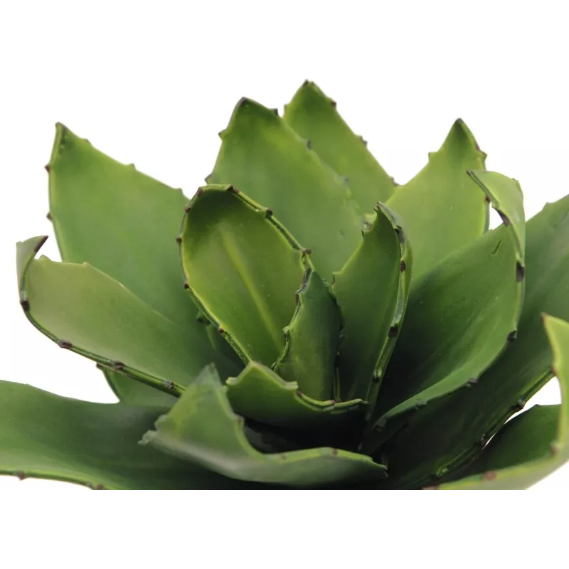 EUROPALMS pianta artificiale agave, EVA, verde, 35 cm 82530576