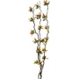 EUROPALMS rami di mirto di palude con LED, 180 cm 83330312