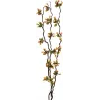 EUROPALMS rami di mirto di palude con LED, 180 cm 83330312