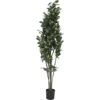 EUROPALMS pianta artificiale schefflera, 120 cm, verde 82600157
