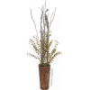 EUROPALMS ramo di eucalipto artificiale, verde-giallo, 110 cm 82505622