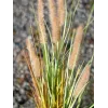 EUROPALMS erba delle fontane artificiale, 120 cm 82600121