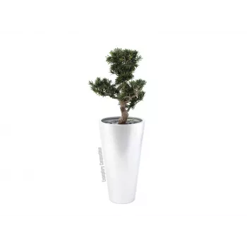 EUROPALMS Leichtsin Elegance-69 figura decorativa argento lucido 83011856