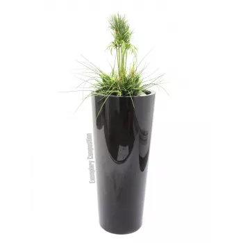 EUROPALMS Leichtsinn Elegance-110 figura decorativa, nero lucido 83011864