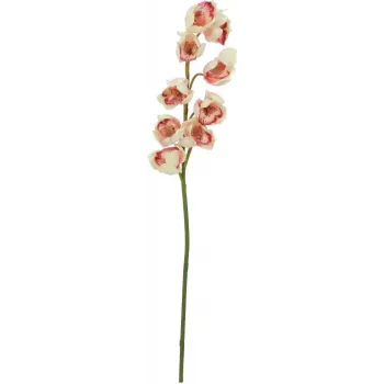 EUROPALMS ramo artificiale di Cymbidium, crema-rosa, 90cm 82530311