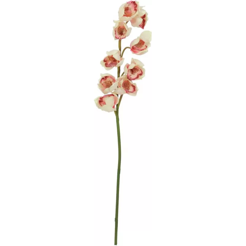 EUROPALMS ramo artificiale di Cymbidium, crema-rosa, 90cm 82530311