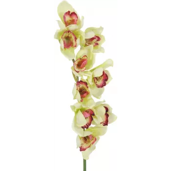 EUROPALMS ramo artificiale di orchidea Cymbidium, verde, 90cm 82530313