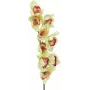 EUROPALMS ramo artificiale di orchidea Cymbidium, verde, 90cm 82530313