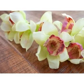EUROPALMS ramo artificiale di orchidea Cymbidium, verde, 90cm 82530313