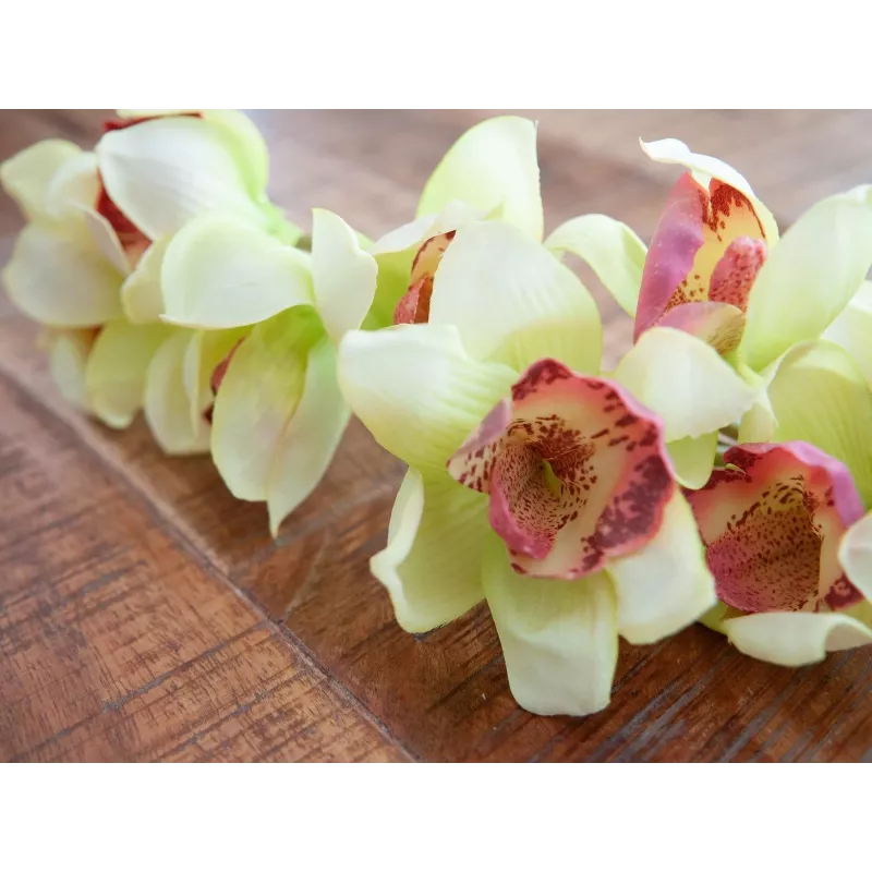 EUROPALMS ramo artificiale di orchidea Cymbidium, verde, 90cm 82530313