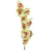 EUROPALMS ramo artificiale di orchidea Cymbidium, verde, 90cm 82530313
