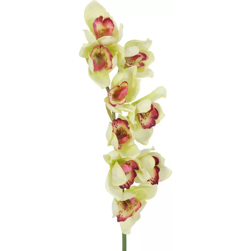 EUROPALMS ramo artificiale di orchidea Cymbidium, verde, 90cm 82530313