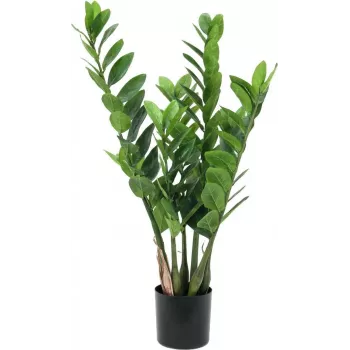 EUROPALMS Zamifolia pianta ZZ artificiale, 70 cm, vaso nero 82600153