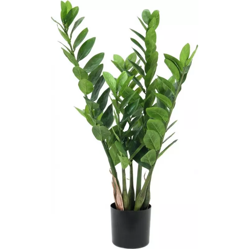 EUROPALMS Zamifolia pianta ZZ artificiale, 70 cm, vaso nero 82600153