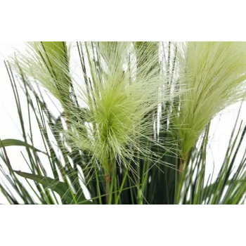 EUROPALMS erba piuma pianta artificiale, bianco, 60cm 82505864