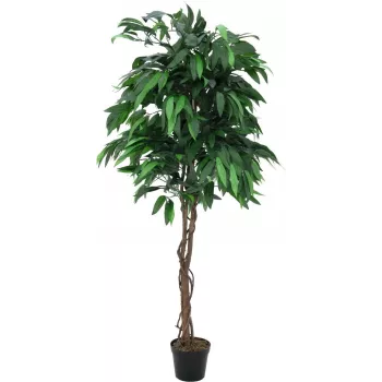 EUROPALMS albero della giungla di mango artificiale, 180 cm 82506726